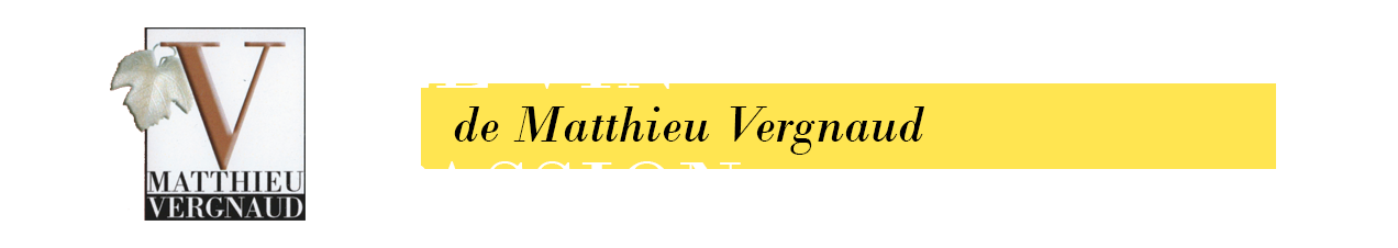 Le vin passion de Matthieu Vergnaud